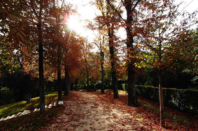 Artistica_Gema1paraweb