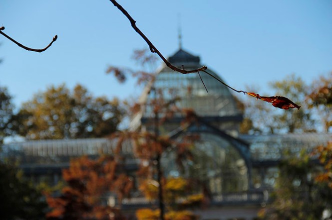 Ganadora_Pablo2paraweb