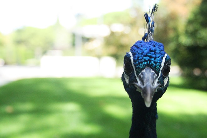 Jesústecnicaparaweb