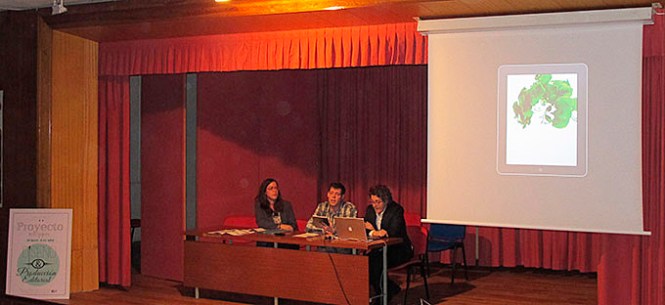 diseño y producción editorial, artes gráficas salesianos atocha, presentación proyecto integrador 2015, proyecto serendipia, boleboo estudio