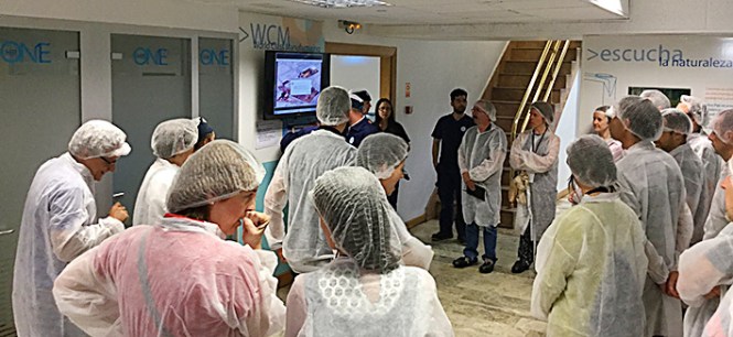 EncuetroProfesoresAAGG2016_Visita Tetrapak