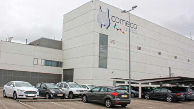 semana don bosco 2019, Entrada comeco, visita impresión, artes gráficas salesianos atocha,